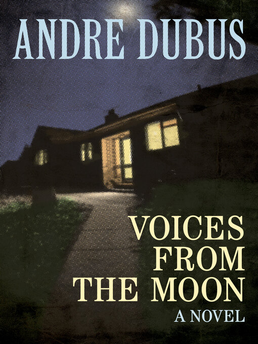 Cover image for Voices from the Moon